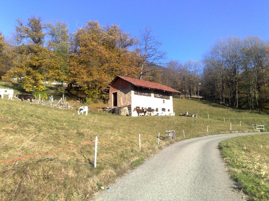Отель Castagneto Valle Mosso Экстерьер фото